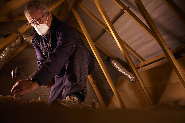 Best Eco-Friendly Insulation in French Mp, CA